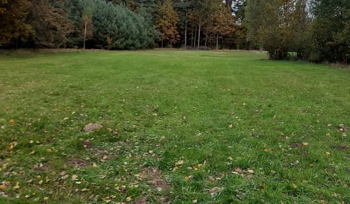 Działka rolna Równe, ul. Leśna