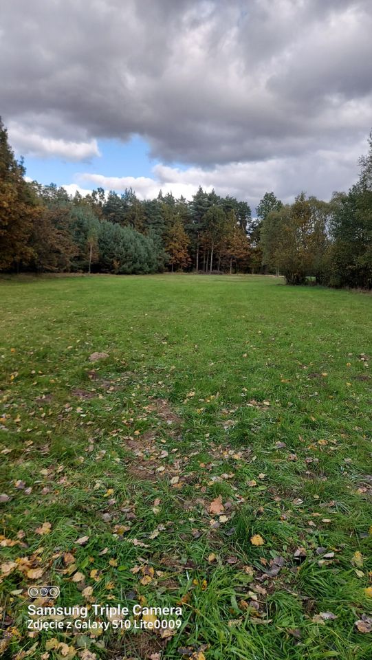 Działka inna Równe, ul. Leśna. Zdjęcie 1