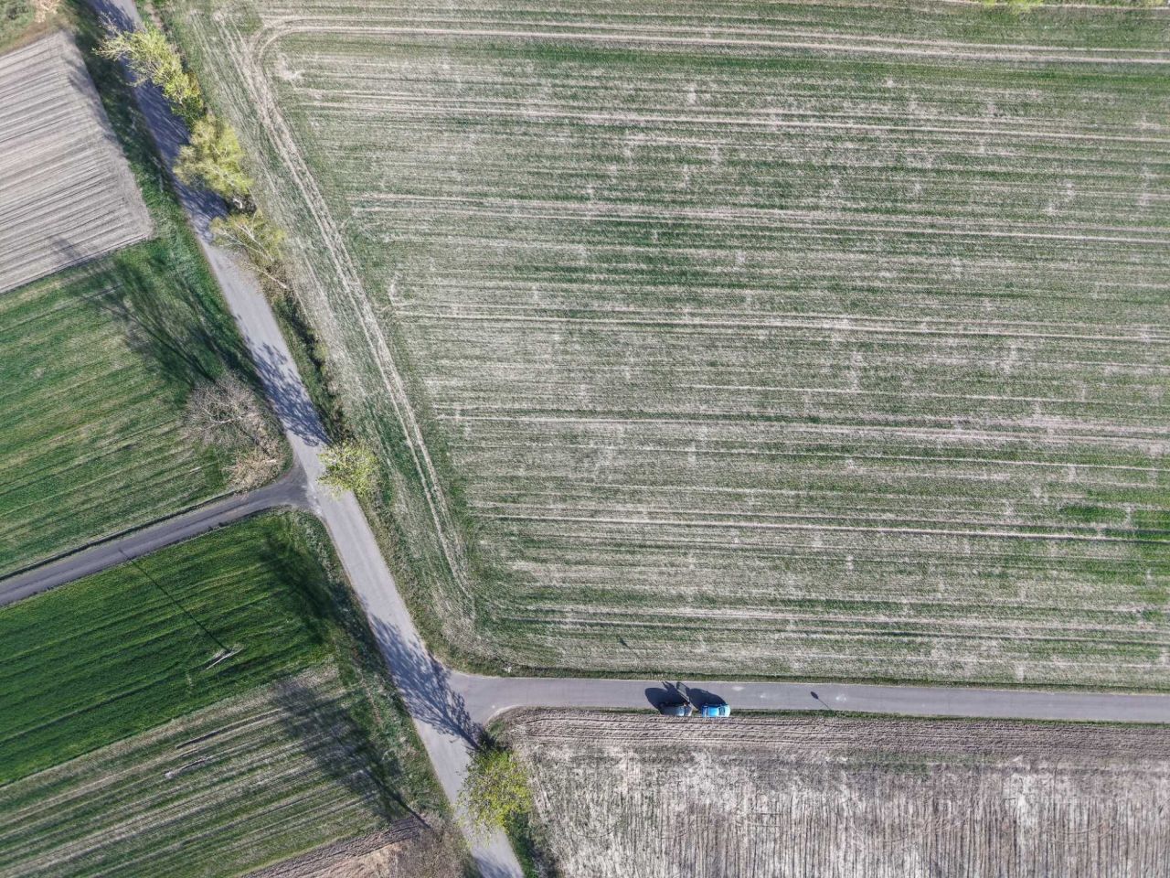 Działka budowlana Białka. Zdjęcie 5