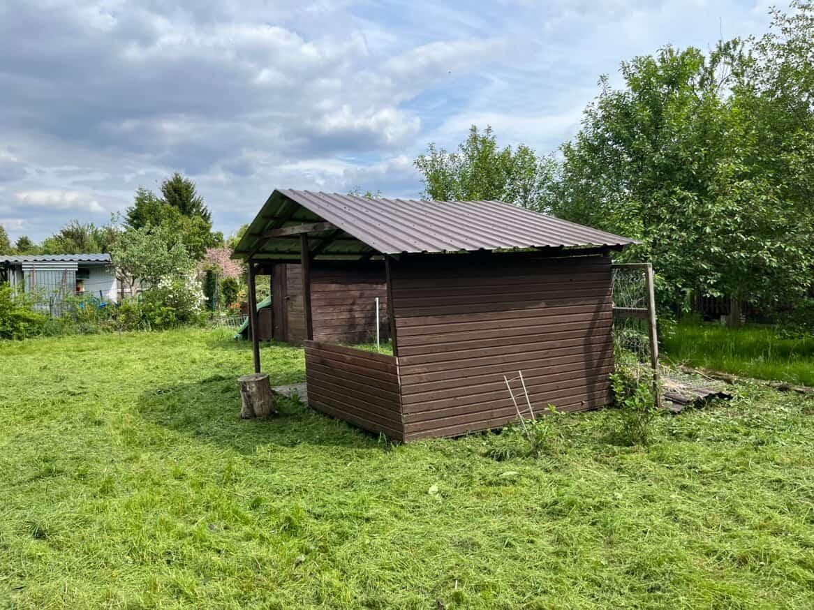 Działka rod Czerwieńsk. Zdjęcie 3