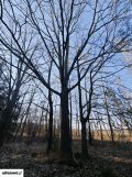 Działka rekreacyjna Gromadzyn. Zdjęcie 4