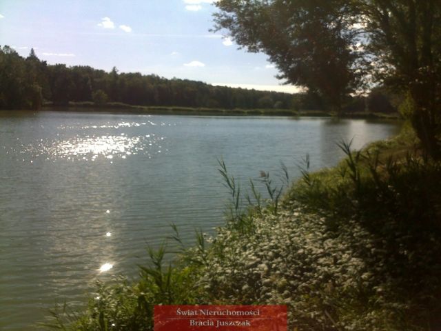 dom wolnostojący, 5 pokoi Wilczyn. Zdjęcie 18