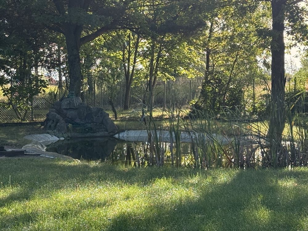 dom wolnostojący Ryczołek. Zdjęcie 7