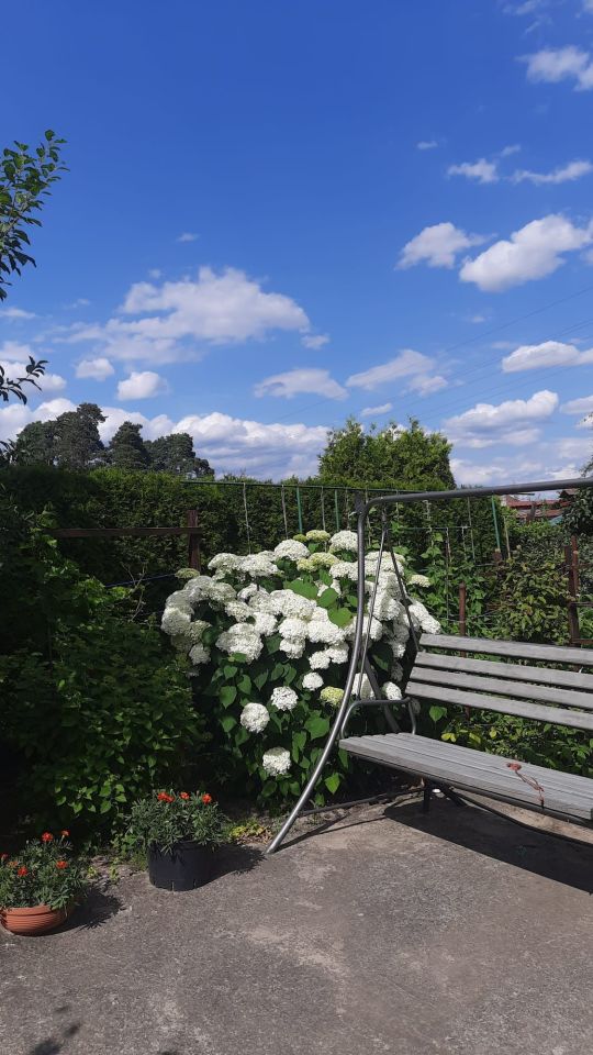 Działka rod Dziewkowice. Zdjęcie 5