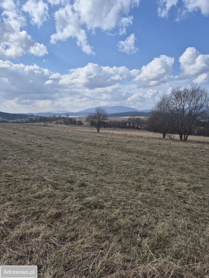 Działka rolna Podsarnie. Zdjęcie 6