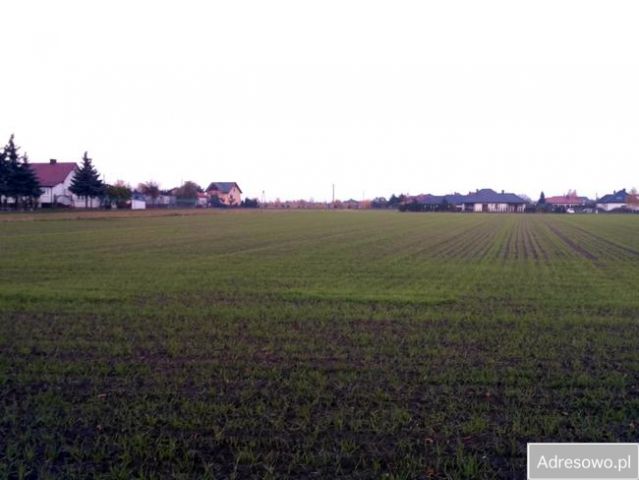 Działka budowlana Przasnysz, ul. Wiejska. Zdjęcie 1