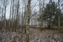 Działka rolno-budowlana Gawartowa Wola. Zdjęcie 3