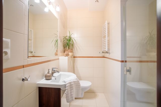 dom wolnostojący, 5 pokoi Borowa Góra, ul. Długa. Zdjęcie 5