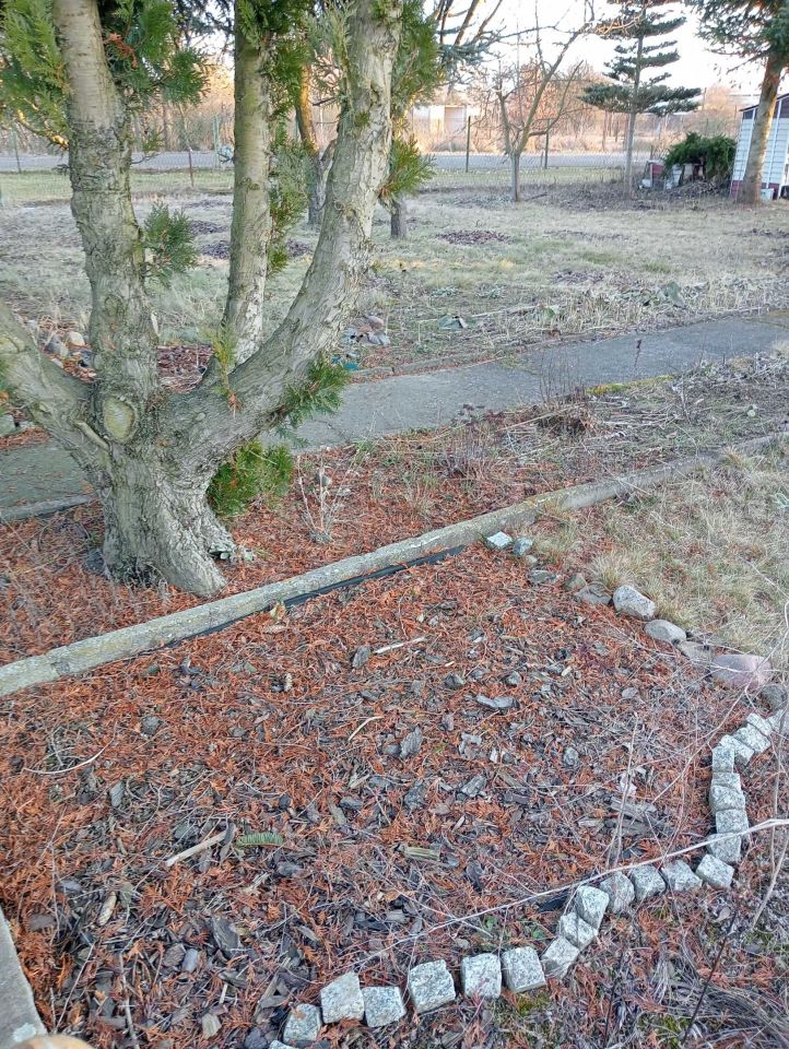 Działka rod Lubin. Zdjęcie 4