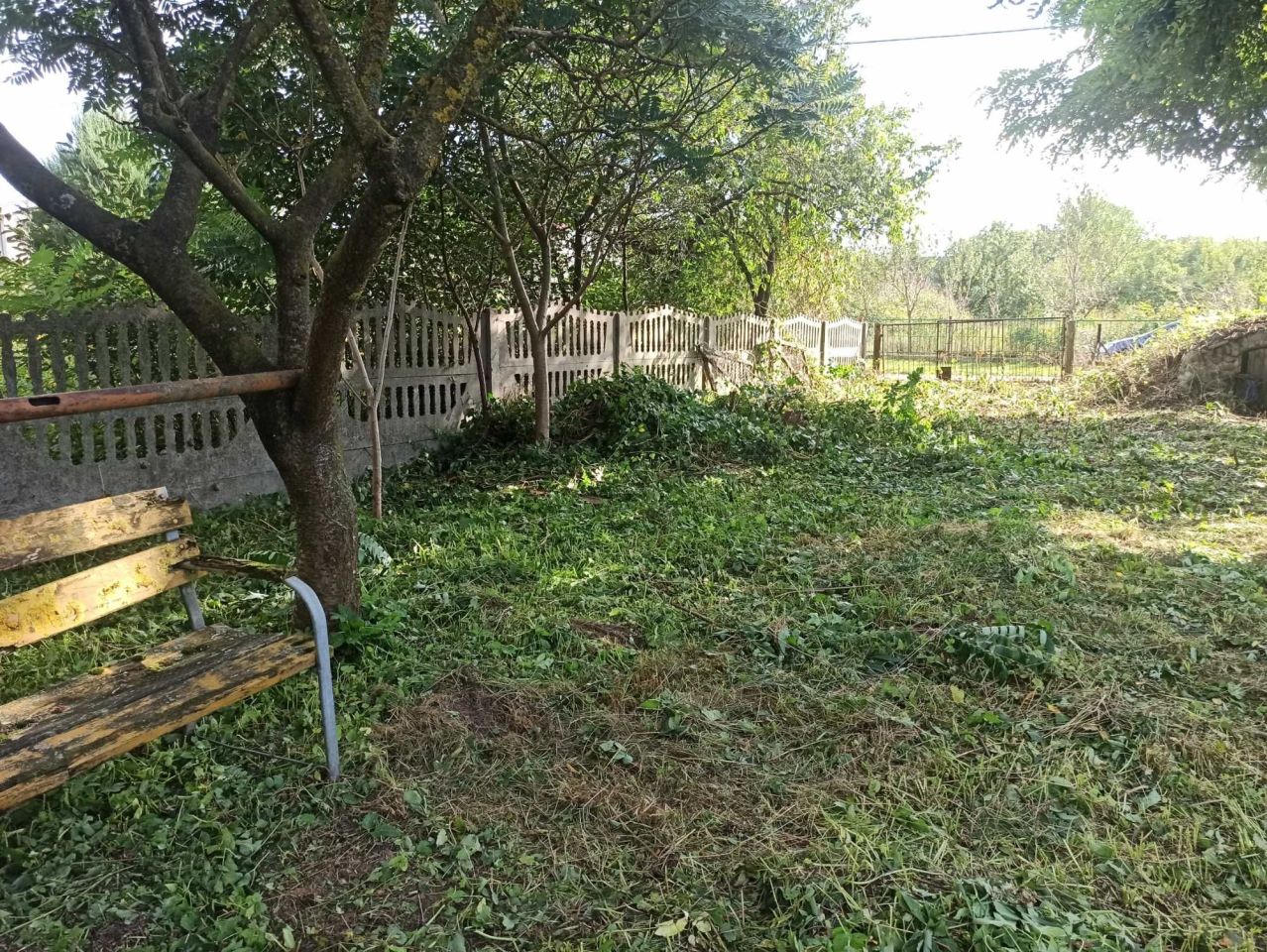 Działka rolno-budowlana Wronka. Zdjęcie 3