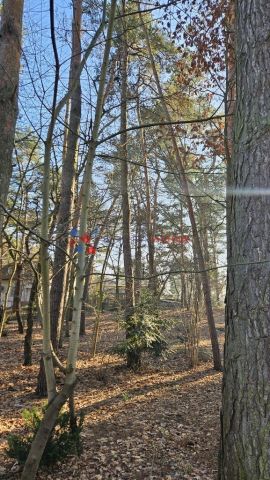 Działka budowlana Piaseczno Zalesie Dolne. Zdjęcie 5