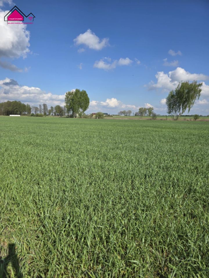 Działka rekreacyjna Skrzynka. Zdjęcie 3