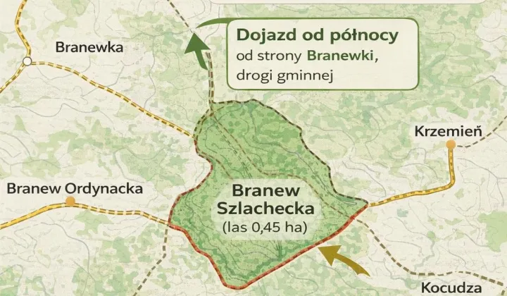 Działka leśna Branew Branew Szlachecka