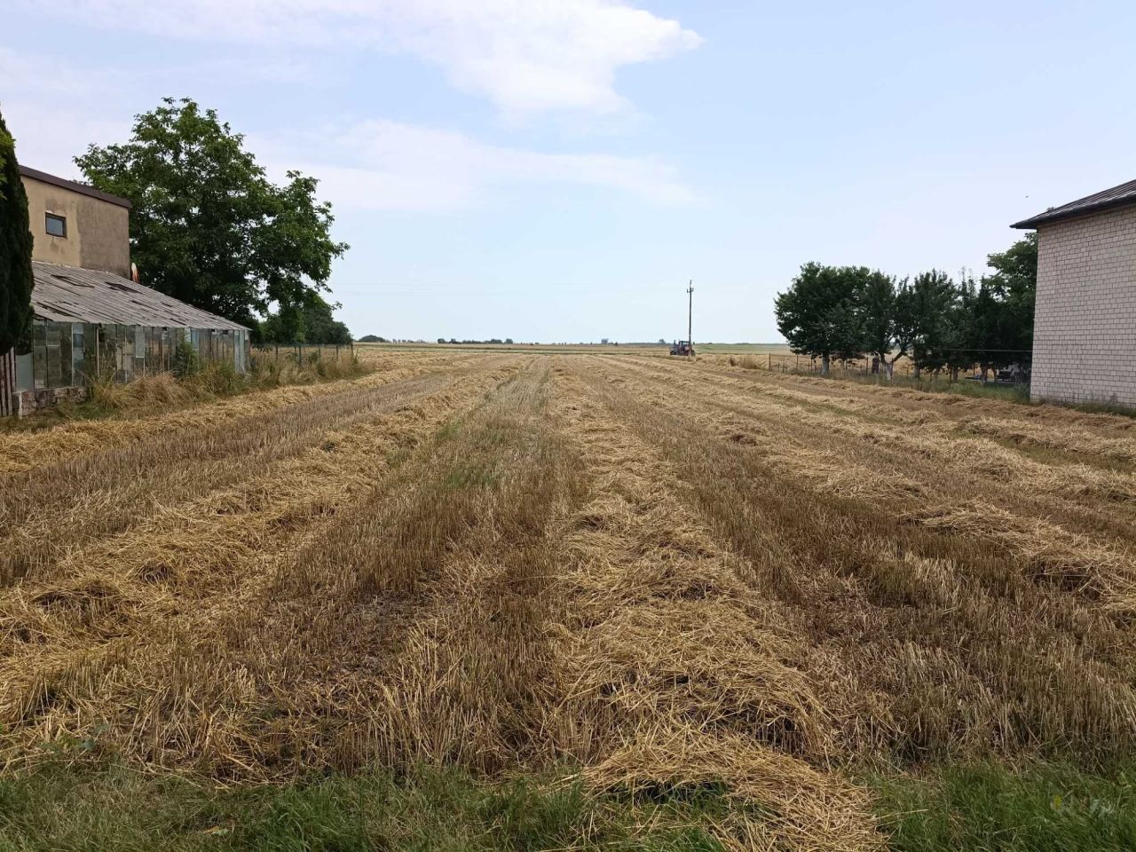 Działka rolno-budowlana Łęki Szlacheckie. Zdjęcie 2