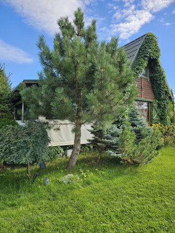 dom letniskowy, 3 pokoje Nowe Guty, Nowe Guty 98. Zdjęcie 1