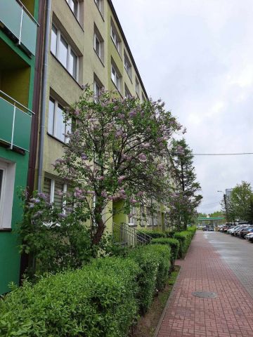 Mieszkanie 1-pokojowe Bytom, ul. Wrocławska. Zdjęcie 15