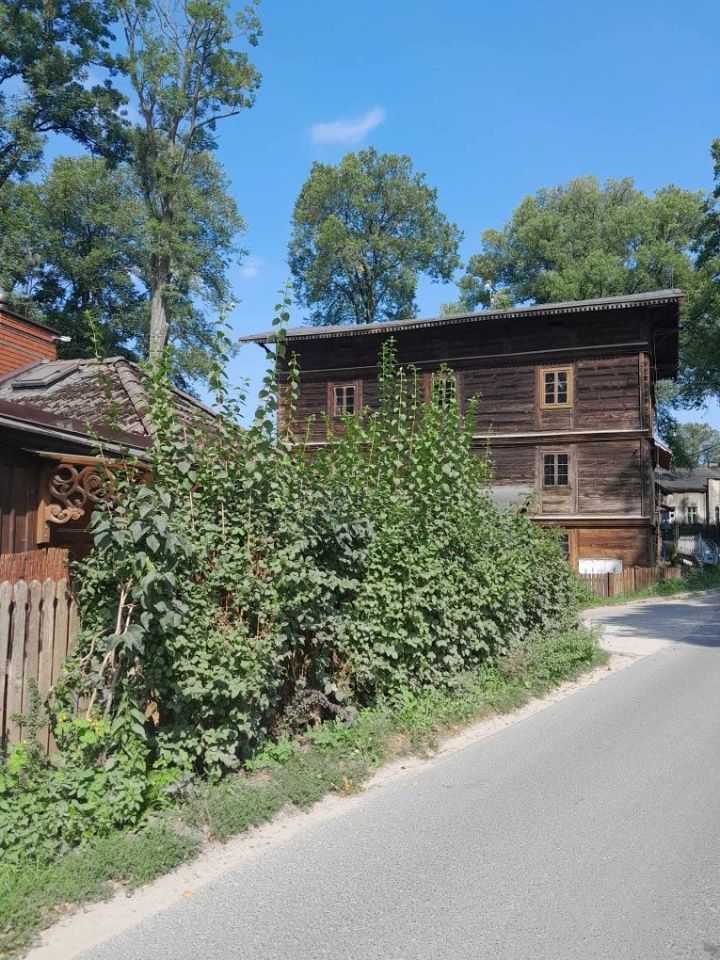 Działka rolno-budowlana Gucin. Zdjęcie 7