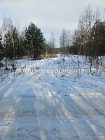 Działka budowlana Przanowice. Zdjęcie 2