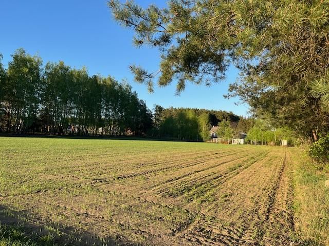 Działka budowlana Krogule. Zdjęcie 2