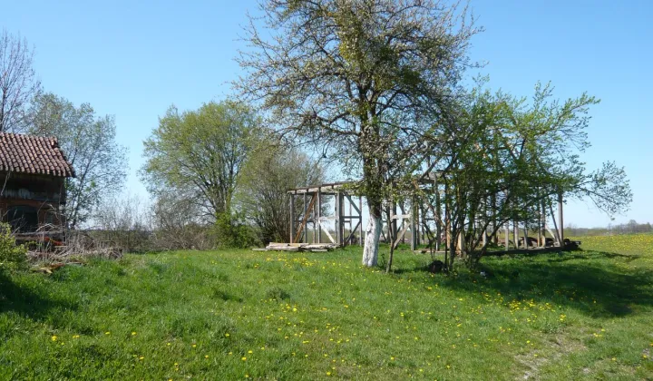 Działka rolno-budowlana Osiniak-Piotrowo