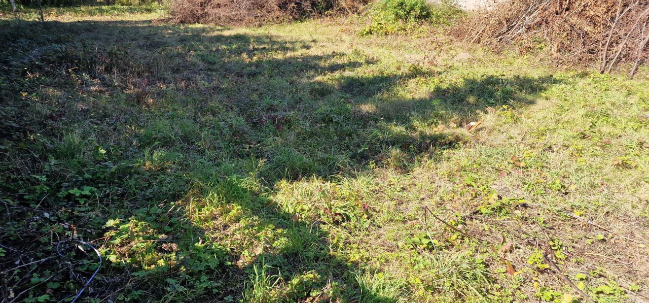 Działka budowlana Rokitno Szlacheckie, Ul. Zielona. Zdjęcie 8