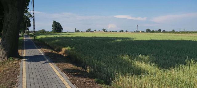 Działka rolno-budowlana Kręgi. Zdjęcie 1