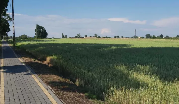 Działka rolno-budowlana Kręgi