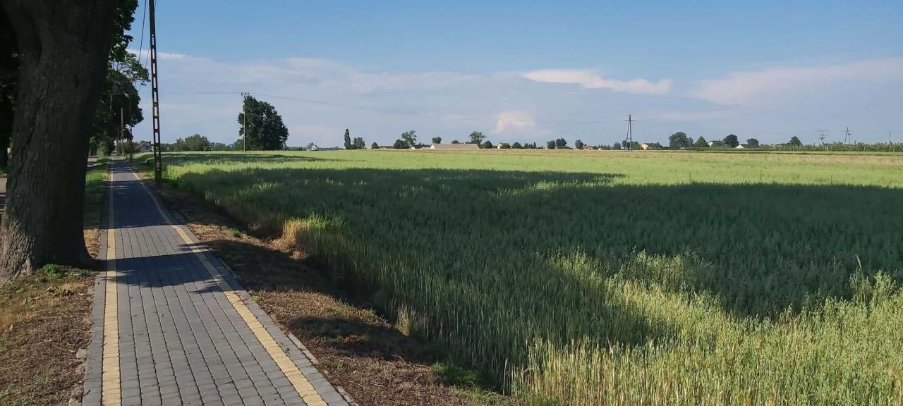 Działka rolno-budowlana Kręgi. Zdjęcie 1