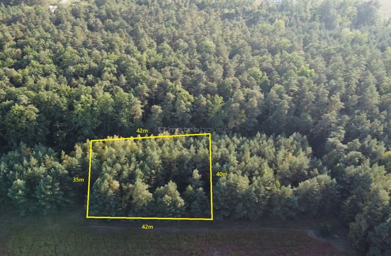 Działka budowlana Zalesie Borowe. Zdjęcie 2