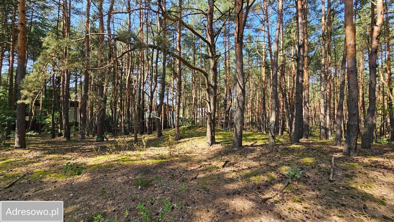 Działka budowlana Hornówek, ul. Jeżynowa. Zdjęcie 8