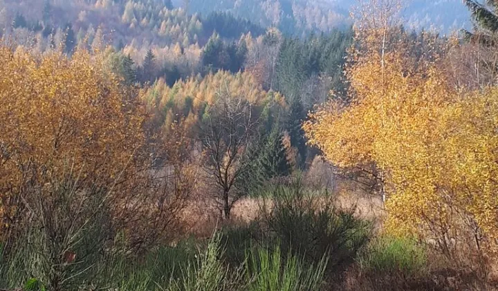 Działka budowlana Jarkowice