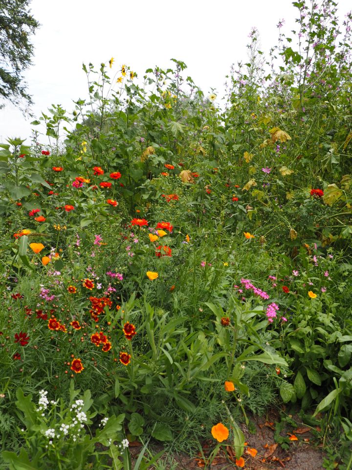 siedlisko, 4 pokoje Moskiewce. Zdjęcie 35