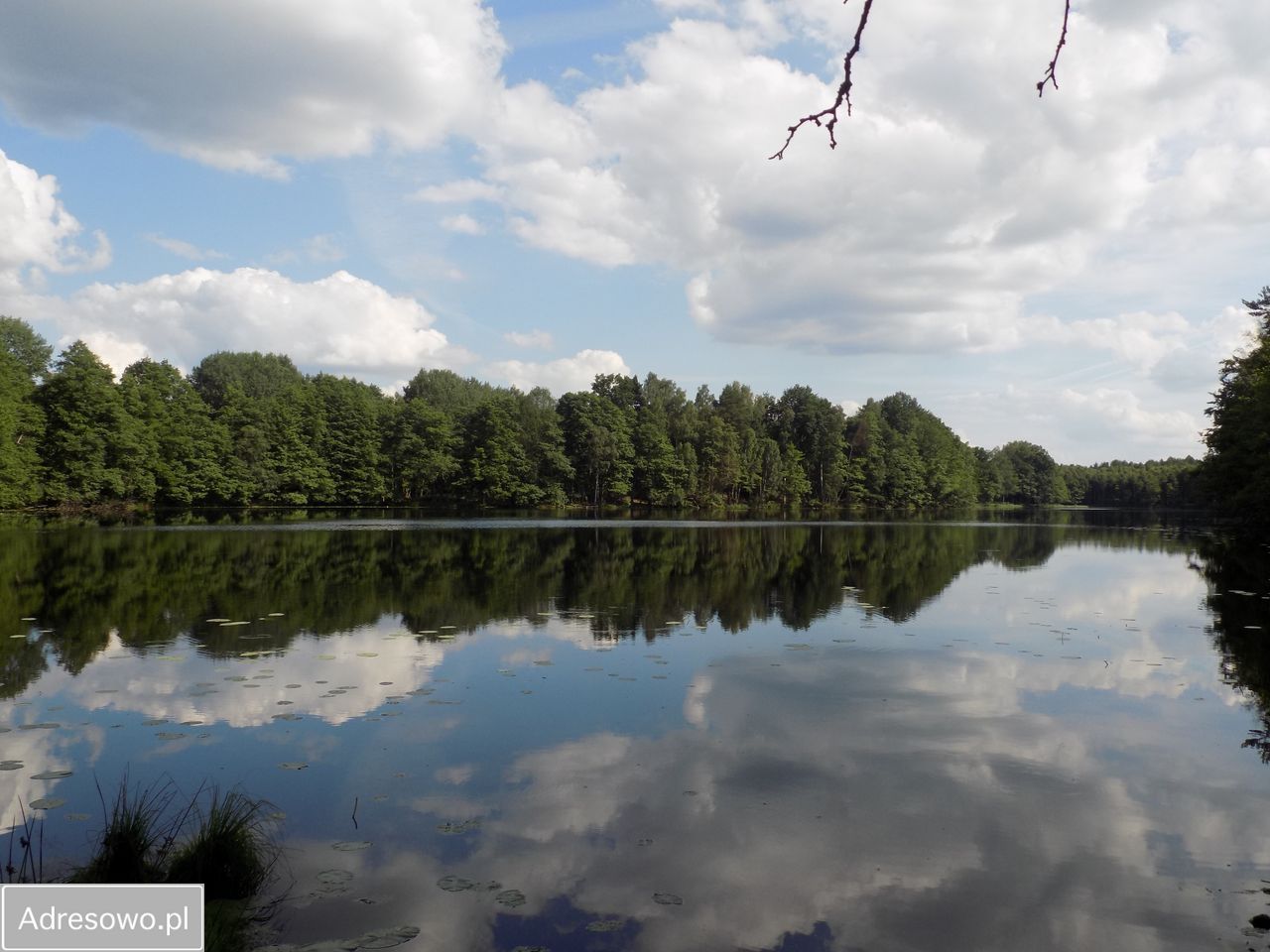 Działka budowlana Brzeźno. Zdjęcie 7