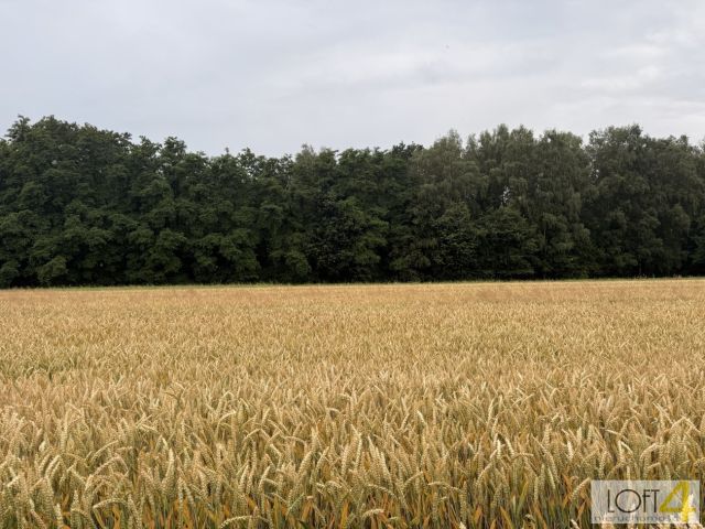 Działka rolno-budowlana Wojnicz. Zdjęcie 11