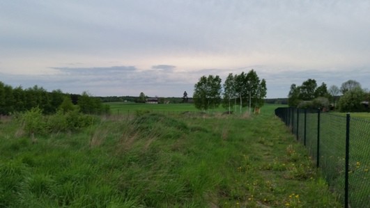 Działka rolno-budowlana Osowo Leśne. Zdjęcie 1