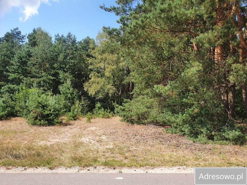 Działka Zielkowice, ul. Leśna