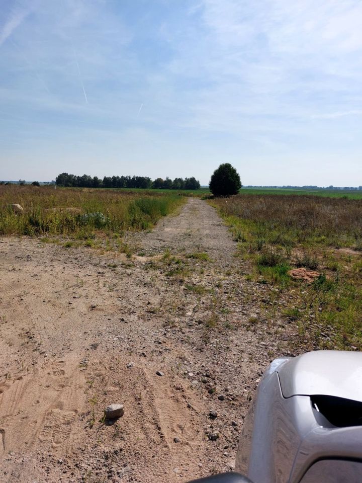 Działka budowlana Witkowo Pierwsze. Zdjęcie 4