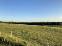 Działka rolno-budowlana Biała. Zdjęcie 2