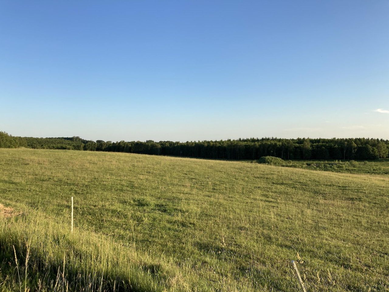 Działka rolno-budowlana Biała. Zdjęcie 3