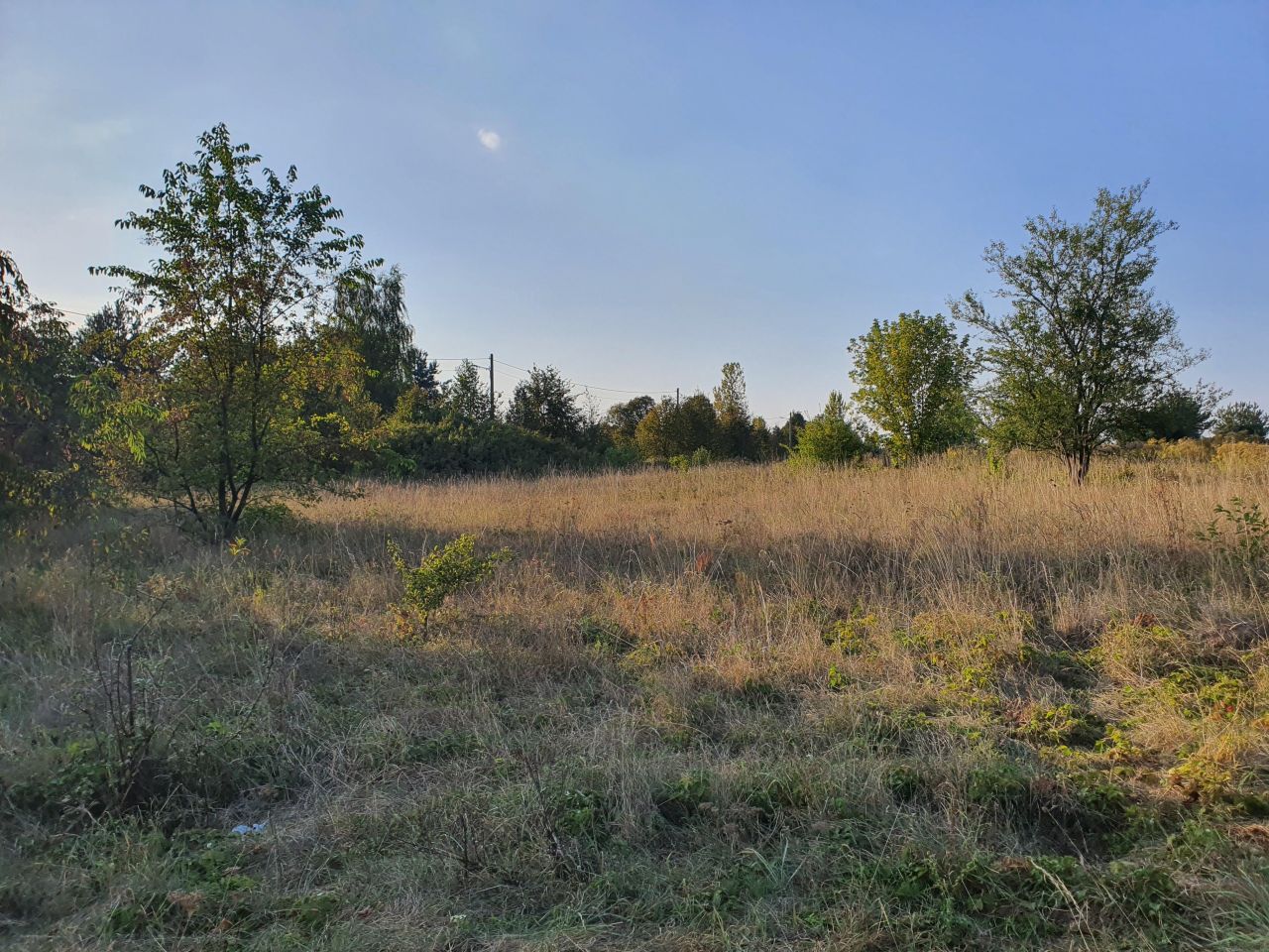 Działka inna Ryczów, ul. Ogrodzieniecka