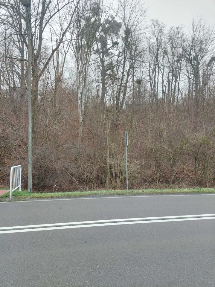 Działka siedliskowa Wola Gałęzowska