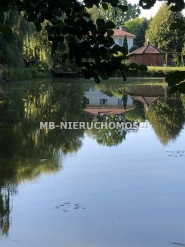dom wolnostojący, 10 pokoi Zalbki. Zdjęcie 3