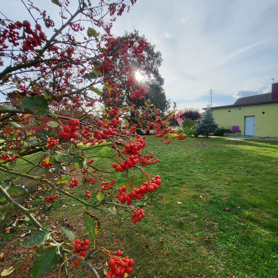 dom wolnostojący Swochowo. Zdjęcie 28