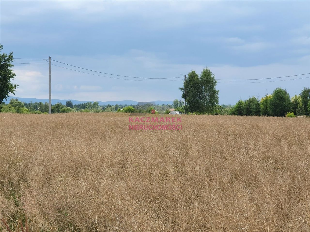 Działka budowlana Jankowice, ul. Wielo Droga. Zdjęcie 6