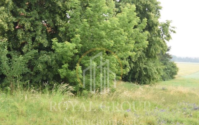 Działka Ostrówek. Zdjęcie 5