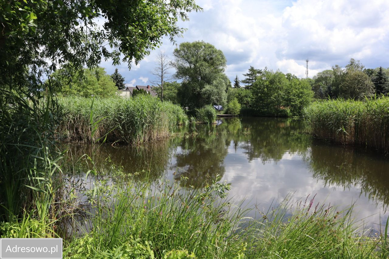 bliźniak, 9 pokoi Recz, ul. Henryka Sienkiewicza. Zdjęcie 12
