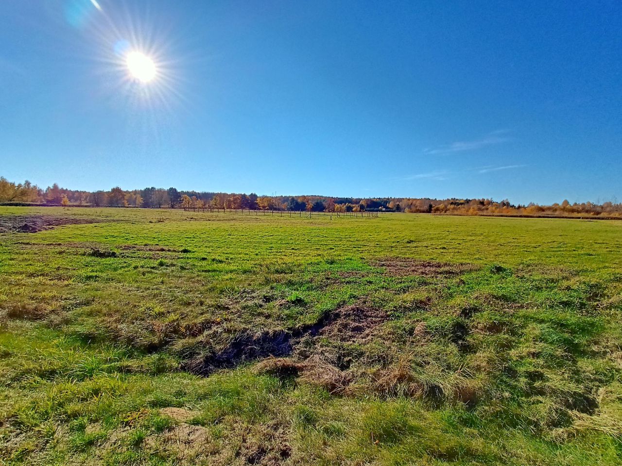 Działka budowlana Żarnów, ul. Górnicza. Zdjęcie 17