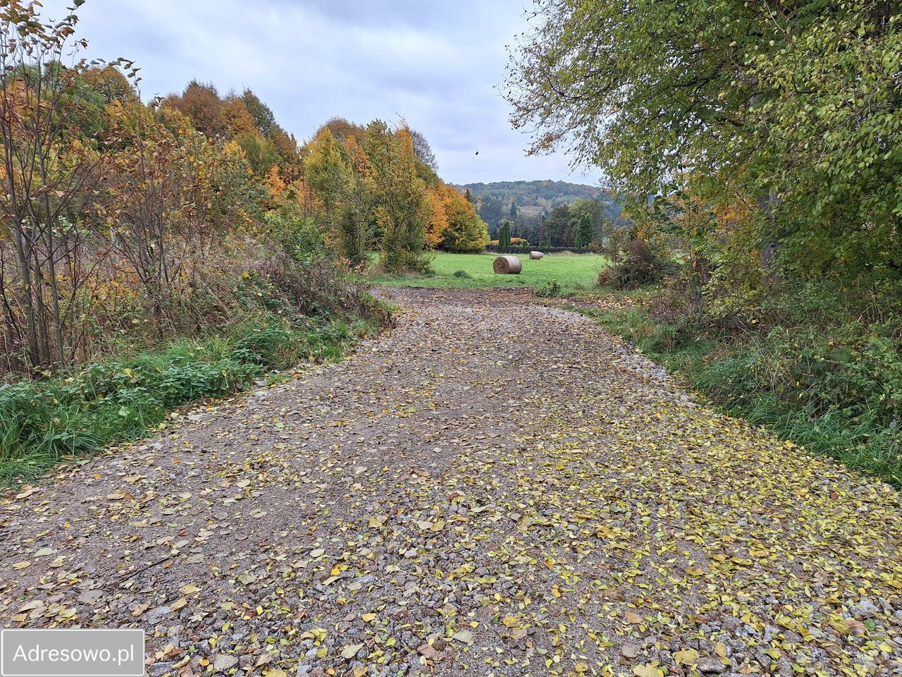 Działka rolna Siedlęcin, ul. Kościelna. Zdjęcie 8