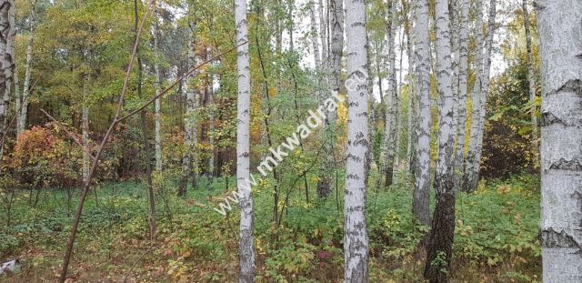 Działka budowlana Siestrzeń. Zdjęcie 1