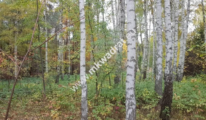 Działka budowlana Siestrzeń, www.mkwadrat.eu